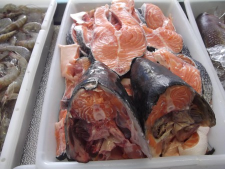 Salmão