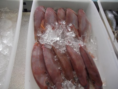 Pargo